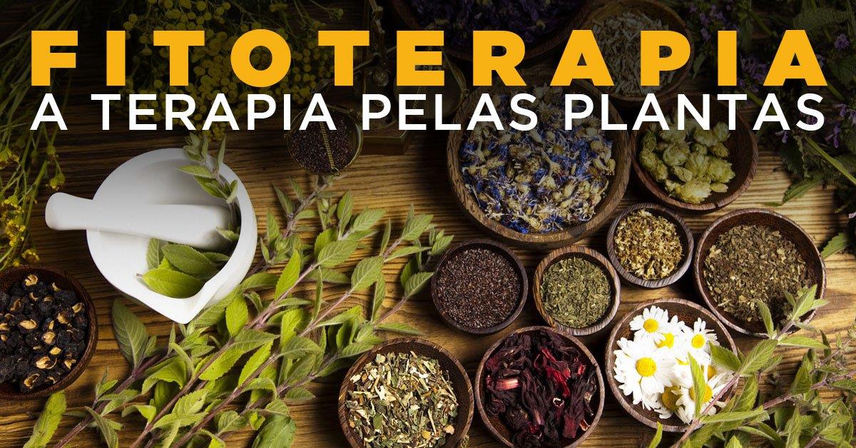 FITOTERAPIA - A terapia pelas plantas