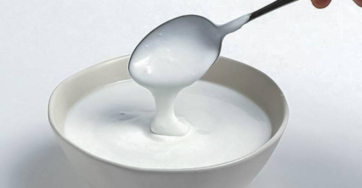 Probióticos e iogurtes apresentam potenciais propriedades hepatoprotetoras