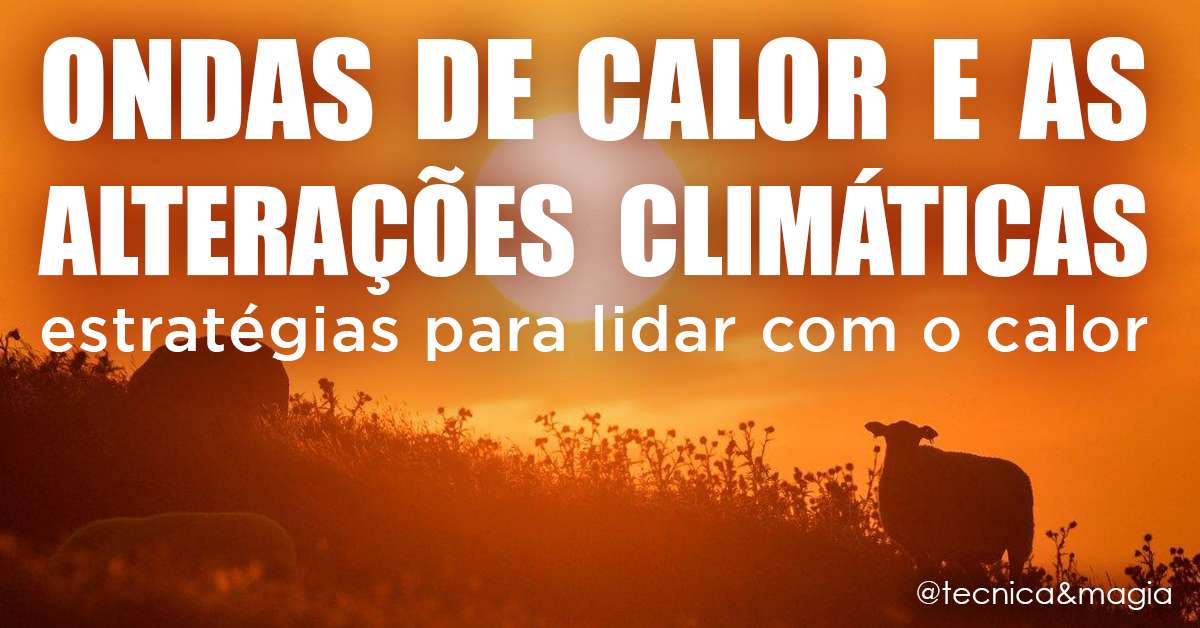 ONDAS DE CALOR E AS ALTERAÇÕES CLIMÁTICAS - Estratégias para lidar com o calor