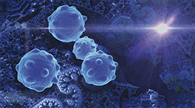 Células - cancro - biomedicina