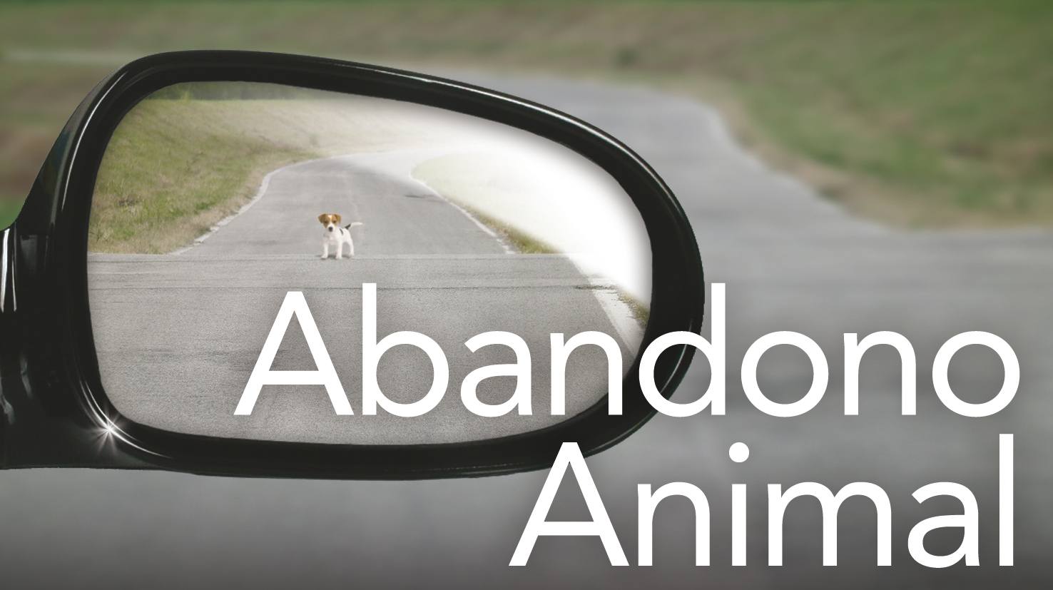 ABANDONO ANIMAL