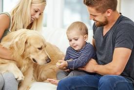 Cão e Família