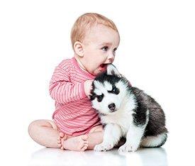 Bebé a agarrar cão