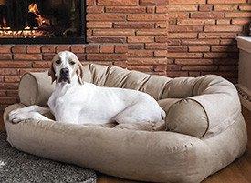 Cão grande no sofã