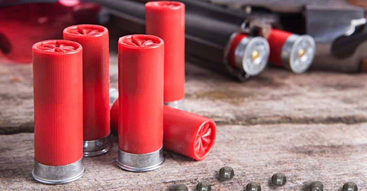UE pede o fim do chumbo nas munições de caça