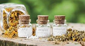 Frascos com ervas - homeopatia