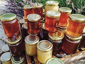 Tipos de mel