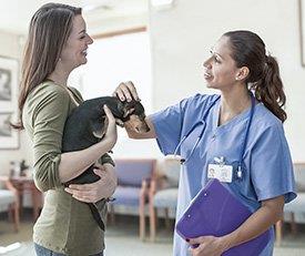 Conversa tutor-veterinária