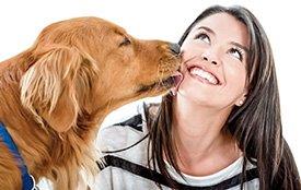 Cão beija tutora