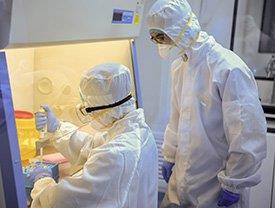 Cientistas-investigam-coronavirus