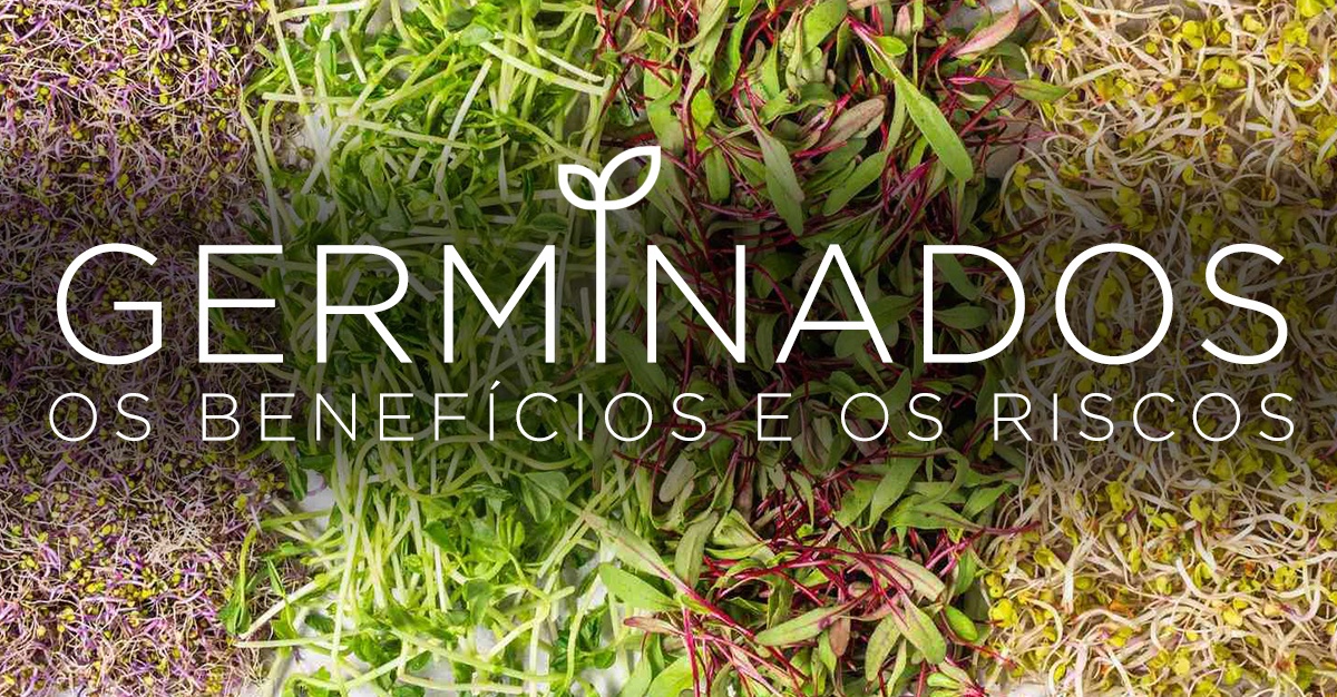 Artigos - GERMINADOS, OS BENEFÍCIOS E OS RISCOS