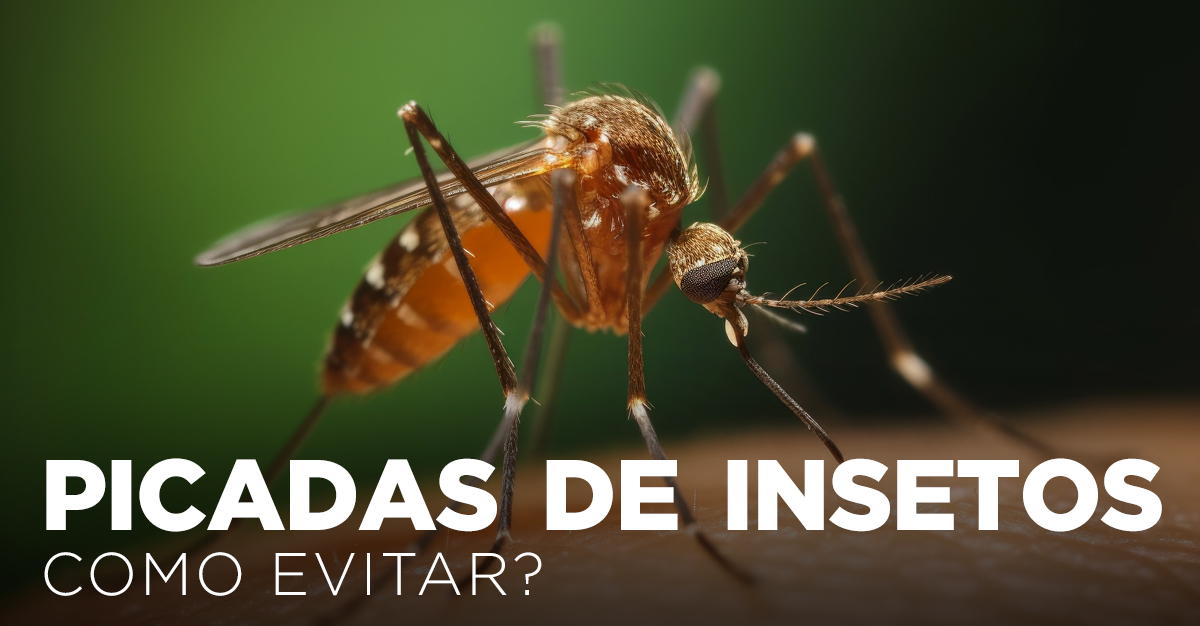 PICADAS DE INSETOS, COMO EVITAR? PICADAS DE INSETOS, COMO EVITAR?