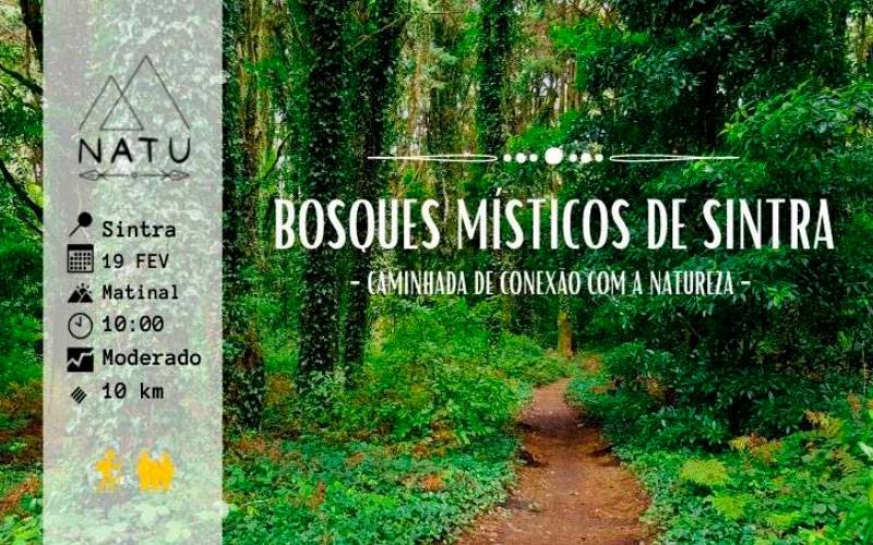 Caminhada de Conexão com a Natureza - Bosques Místicos de Sintra