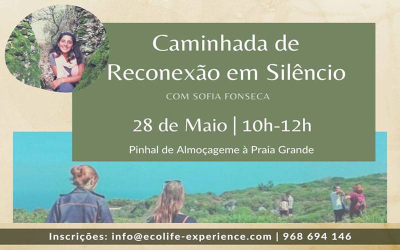 Caminhada em Silêncio: Pinhal de Almoçageme à Praia Grande Caminhada em Silêncio: Pinhal de Almoçageme à Praia Grande