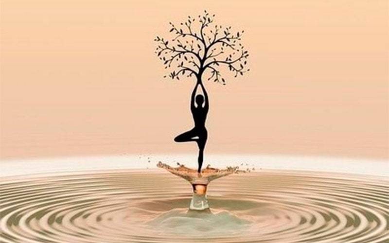 Meditação, Ioga e Relaxamento para Adultos Meditação, Ioga e Relaxamento para Adultos