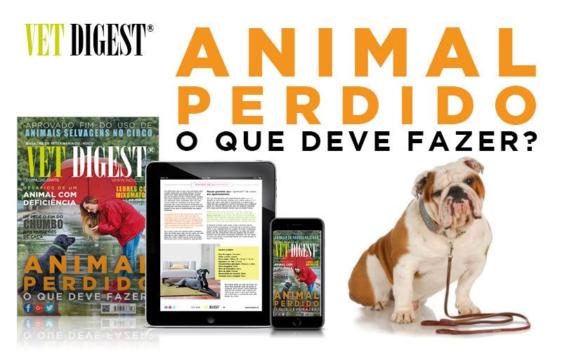 Animal Perdido! Animal Perdido!