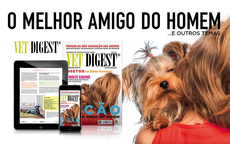 Conhece o seu Melhor Amigo? Conhece o seu Melhor Amigo?