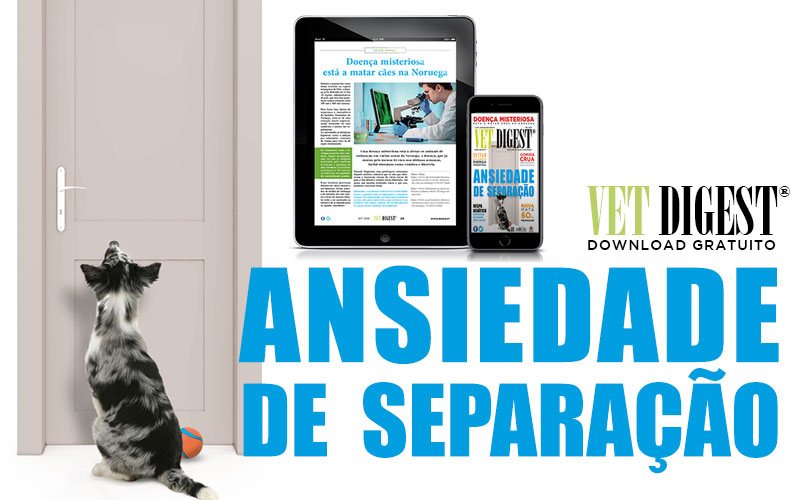 Ansiedade de separação Ansiedade de separação
