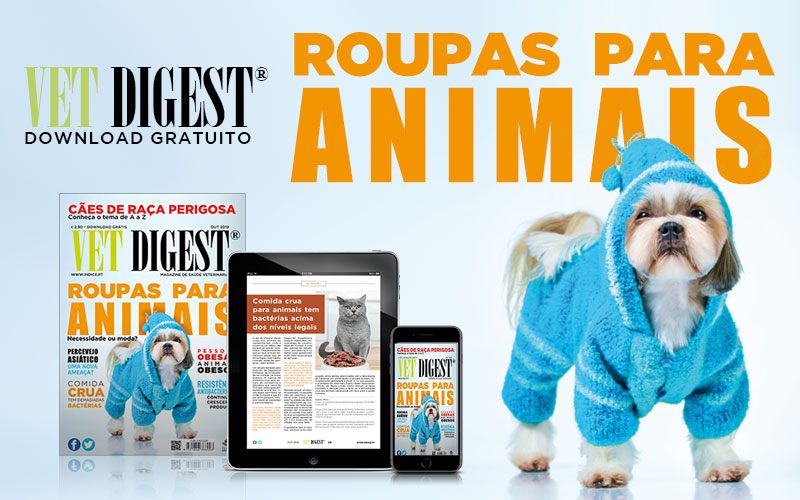 Roupas para Animais Roupas para Animais