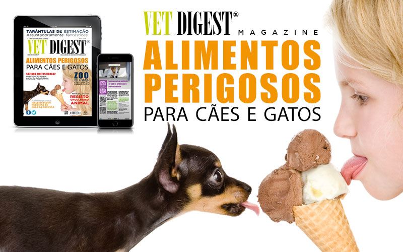 Artigo - Alimentos Perigosos para Animais