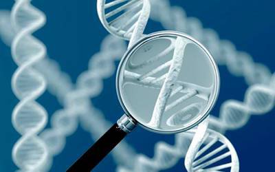 Mutação genética ligada a transtorno raro que impede puberdade