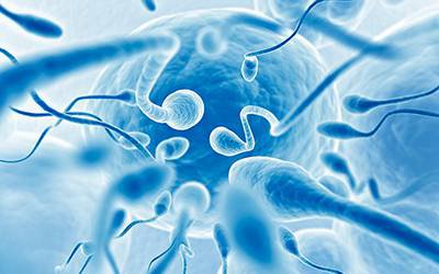 Vírus Ébola permanece no esperma por até 565 dias