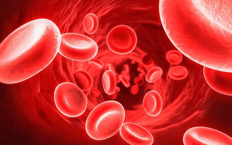 Cientistas editam gene causador de anemia