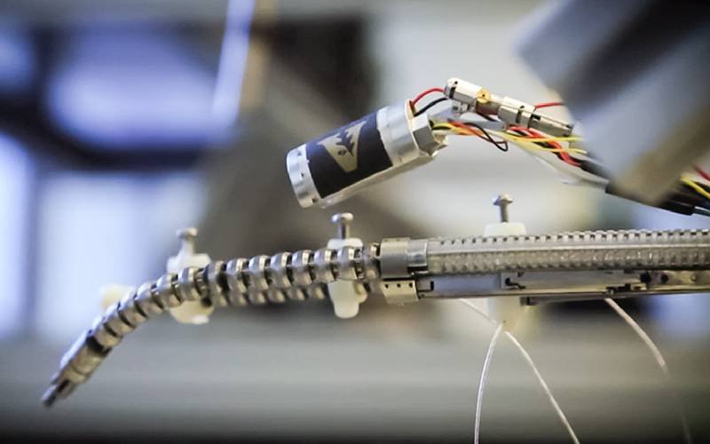 Cientistas criam robot-cobra para fazer cirurgias minimamente invasivas