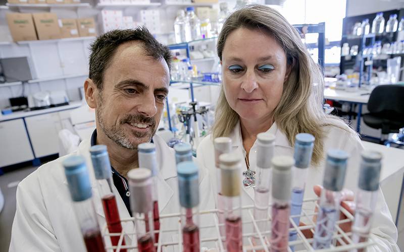 Empresa Nano4 quer globalizar nanotecnologia de diagnóstico molecular