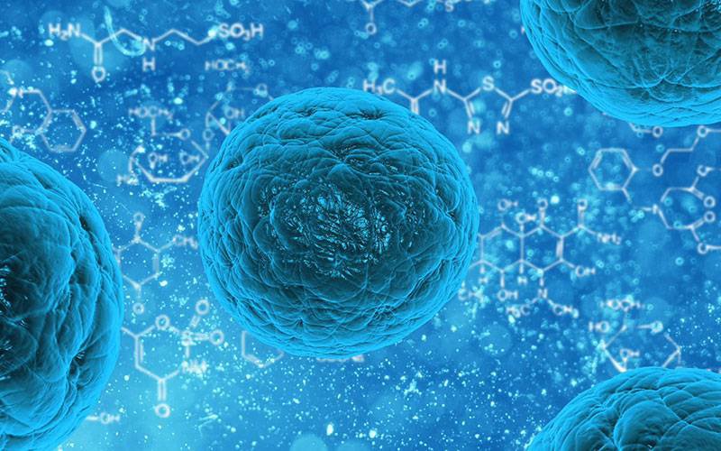 Cientistas italianos descobrem moléculas que combatem envelhecimento celular