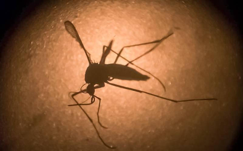 Zika detetado na India