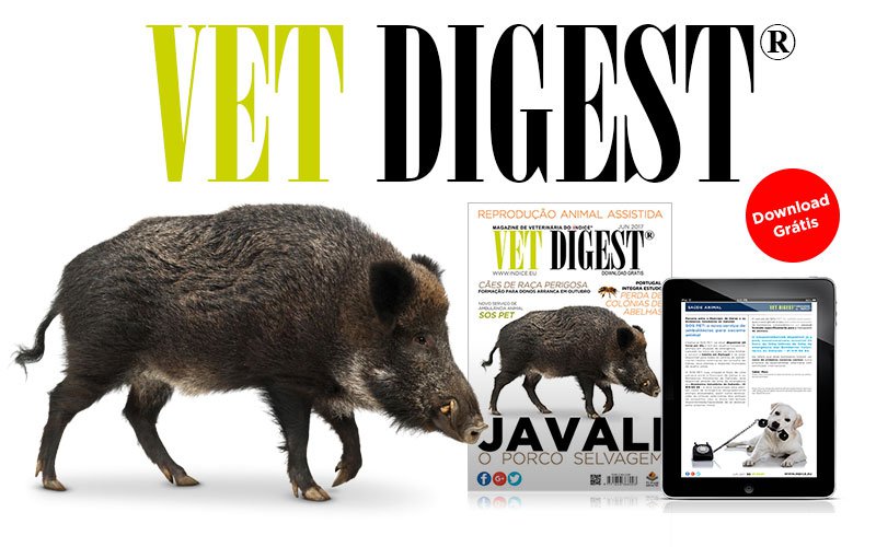 Nova Edição da Vet Digest® Magazine de JUNHO