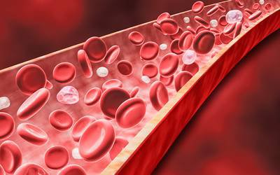 Campanha da Associação Portuguesa de Leucemias e Linfomas explica doenças do sangue