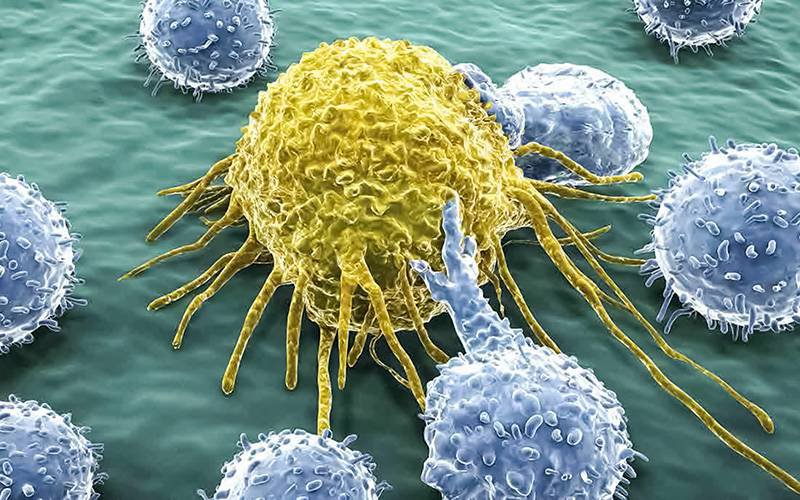 Cientistas elaboram diretrizes para tratamento dos efeitos secundários da terapia de células CAR T