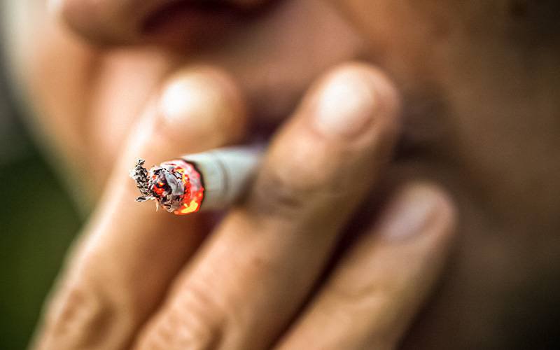 Campanha da Pulmonale quer livrar Porto do fumo do tabaco