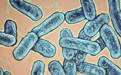 Detetada bactéria Legionella no Centro de Saúde de Mangualde