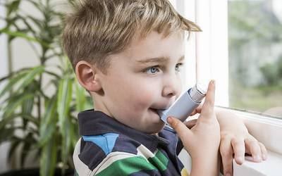 Exposição pré-natal à frutose pode estar ligada à asma infantil