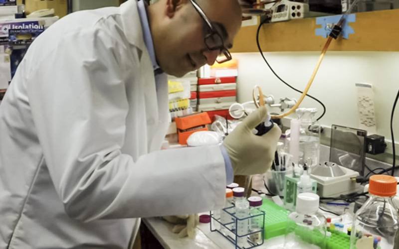 Cientistas criam células imunológicas artificiais em laboratório