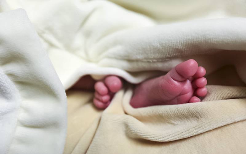 Casais lusos estão a levar embriões criopreservados para Espanha