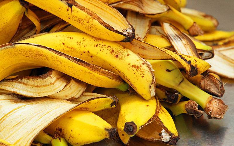 Casca de banana pode ser alternativa à farinha