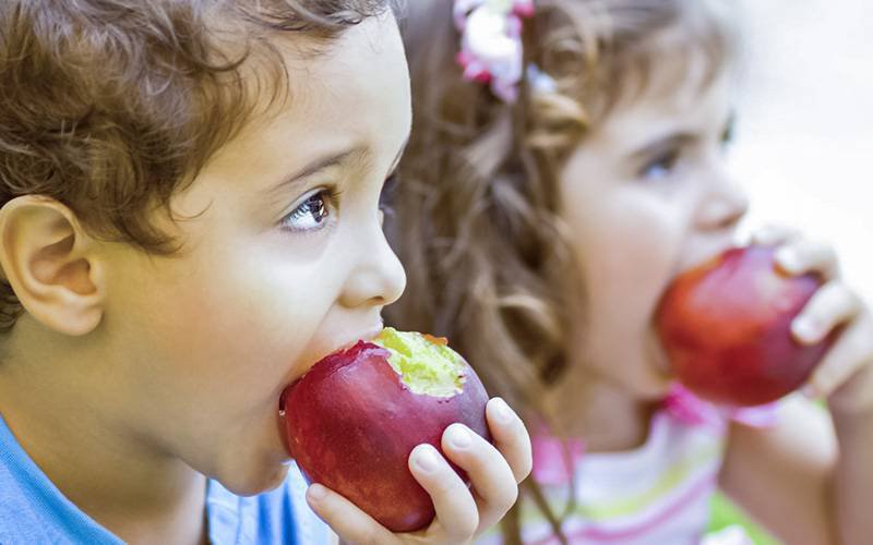 Sete em cada dez crianças não ingere fruta e legumes recomendados