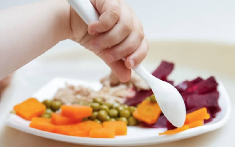 Como garantir que crianças vegan ingerem nutrientes suficientes