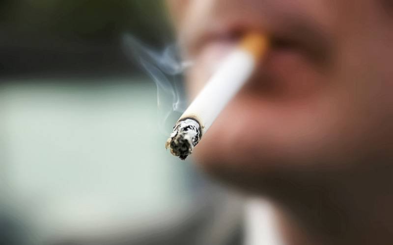 Tabaco mata sete milhões de pessoas ano e também destrói ambiente