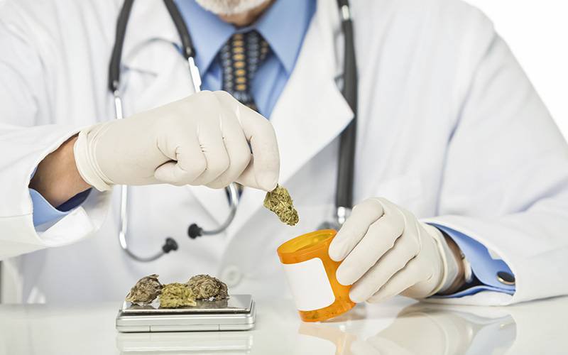 Especialistas alertam para desvalorização dos riscos da cannabis