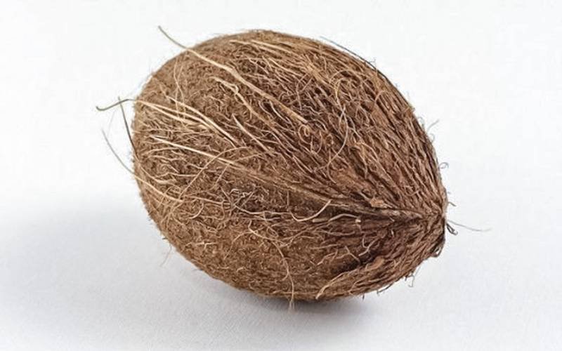 Fibra da casca de coco pode ser benéfica para depressão