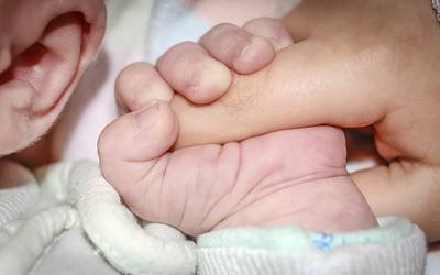 Alteração do microbioma após cesariana tem impacto nos bebés