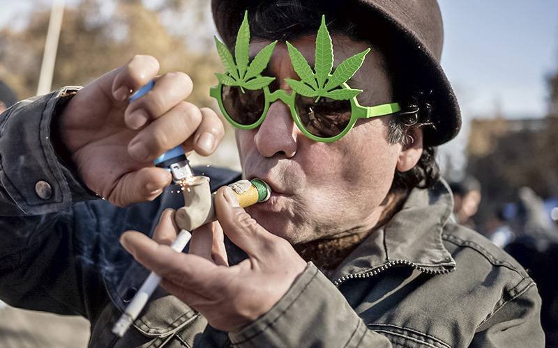 Cannabis para fins recreativos só está legalizada no Uruguai e Canadá