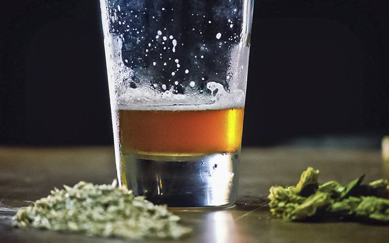 Consumo de álcool e cannabis nos mais velhos preocupam autoridades