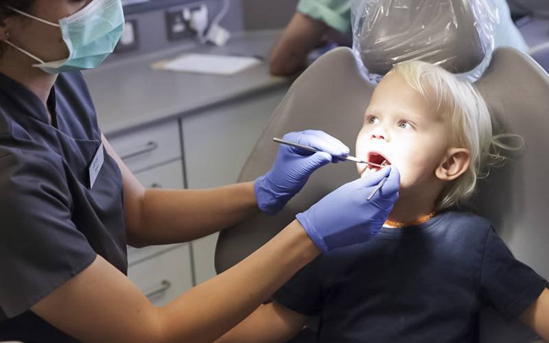 OMD quer cheques dentistas a todas as crianças a partir dos dois anos