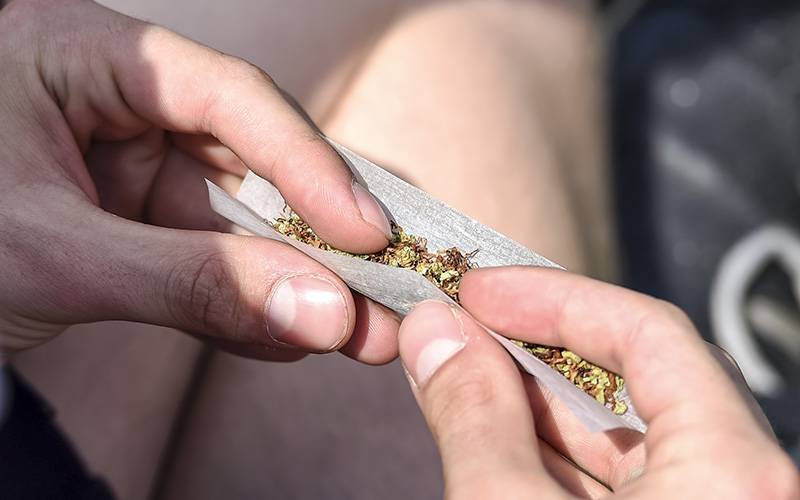 Parlamento chumba lei de legalização da cannabis para uso recreativo